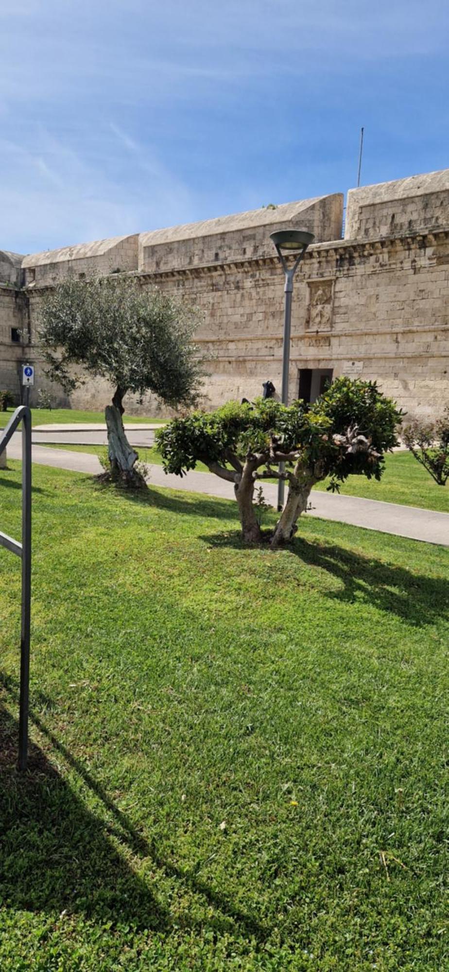 Bed and Breakfast Md House Civitavecchia Exterior foto
